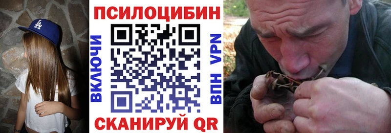 что такое наркотик Владикавказ Галлюциногенные грибы Psilocybe